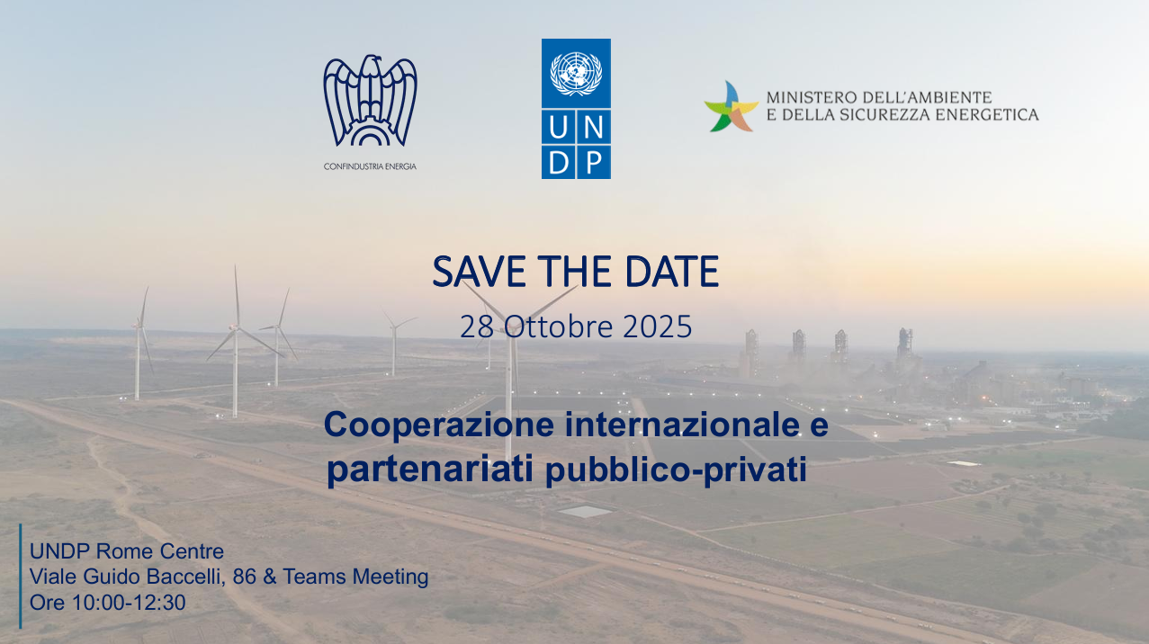 Cooperazione internazionale e partenariati pubblico-privati